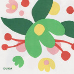 Салфетки 20 бр. DUKA NIELSEN 33 х 33 см., цветя