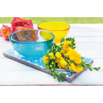 Купа EXCELSA SCRATCH 1500 мл., син