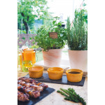 Дъска за сервиране на сирена EXCELSA PREMIUM QUALITY 35х12,5 см.