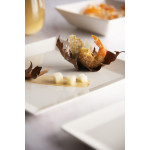 Чиния EXCELSA ETERNITY 18x18 см.