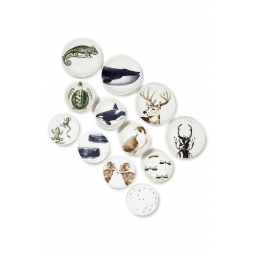 Чиния - дълбока EXCELSA FAUNE & FLORE 20 см., костенурка