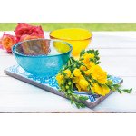 Купа EXCELSA SCRATCH 1500 мл., син Купа EXCELSA SCRATCH 1500 мл., син