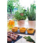 Дъска за сервиране на сирена EXCELSA PREMIUM QUALITY 35х12,5 см.