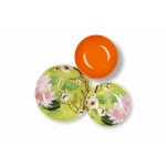 Сет чинии за хранене 18 части EXCELSA FUJI