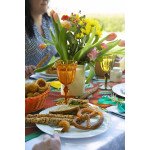 Чаша от пластмаса EXCELSA COUNTRY 250 мл., оранжев