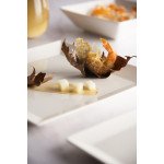 Чиния EXCELSA ETERNITY 18x18 см.