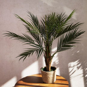 Декоративно дърво HOMLA TROPICAL ZONE 120 см