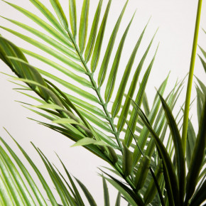Декоративно дърво HOMLA TROPICAL ZONE 120 см