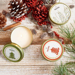 Ароматна свещ HOMLA BILLY, Winter Orchid