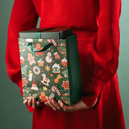 Подаръчна торба HOMLA CYMKA 19x23x10 см., зелен