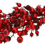 Декоративна конка HOMLA RUBI 70 см.