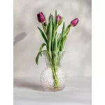 Ваза HOMLA LIMPID 14x22 см