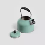 Чайник HOMLA SOFTBOIL, 3 Л., зелен