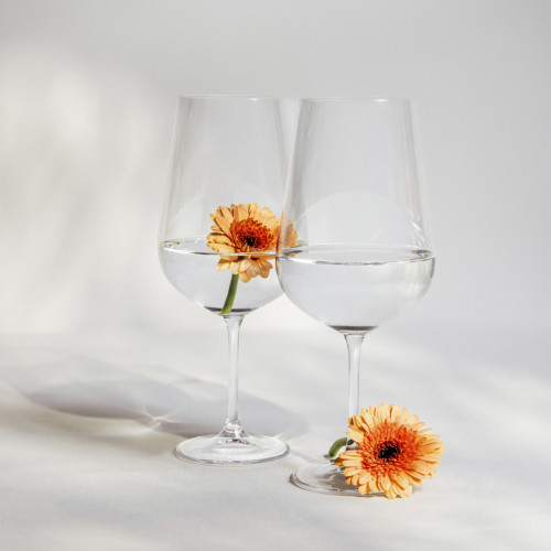 Сет чаши 2 бр. HOMLA BRILLIANT PARTITO 850 мл. Сет чаши 2 бр. HOMLA BRILLIANT PARTITO 850 мл.