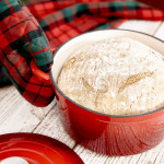 Тенджера HOMLA ANDREAS 4000 мл., червен