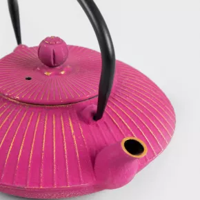 Чайник HOMLA ANDREAS 800 мл., розов