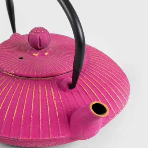 Чайник HOMLA ANDREAS 800 мл., розов