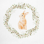 Сет кухненски кърпи 2 бр. HOMLA SHEPER 65х45 см.