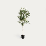 Декоративно маслиново дърво HOMLA GREENORA 180 см
