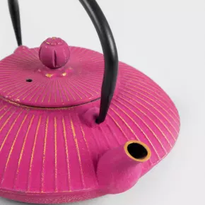 Чайник HOMLA ANDREAS 800 мл., розов