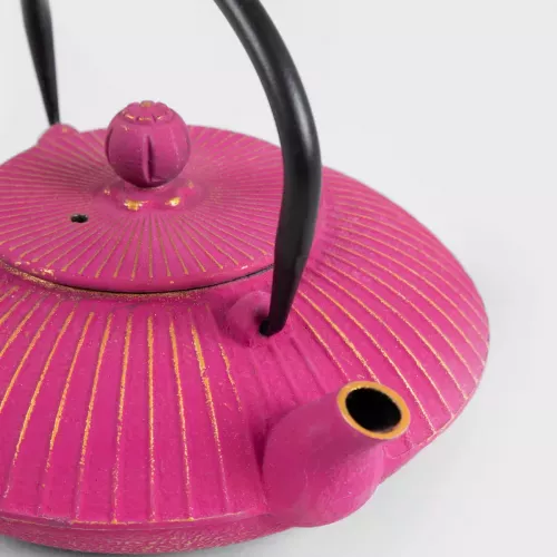 Чайник HOMLA ANDREAS 800 мл., розов