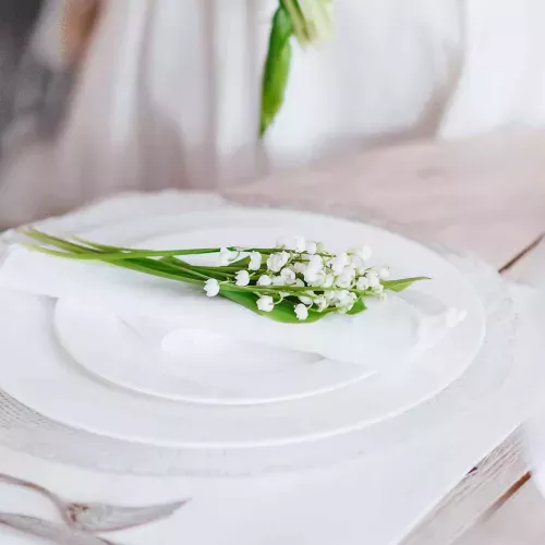 Сет за закуска 12 ел. DUKA FELICIA