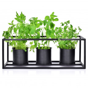 Съдове за свежи подправки 3 бр. DUKA ORTER 50x16x18 cм.