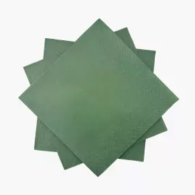 Салфетки 20 бр. DUKA MONONORD 33x33 см., зелен