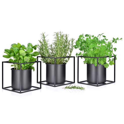 Съд за свежи подправки DUKA ORTER 15x15x15 см.