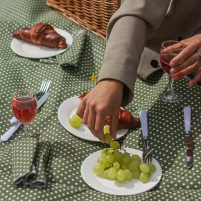 Пикник кошница за 4 души DUKA PICKNICK, зелена на точки