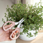 Ножица за градина DUKA FIFFIG